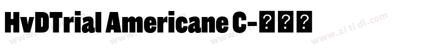 HvDTrial Americane C字体转换